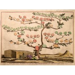 1720 Genealogische Bibel Baum von Noah, Noah's Ark