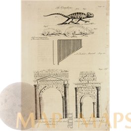Triumphal Arch Latachia Aleppo Syria old print Drummond | Mapandmaps