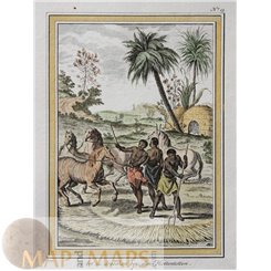 HOTTENTOTTEN Old engraving Threshing Hottentots South Africa BELLIN 1757