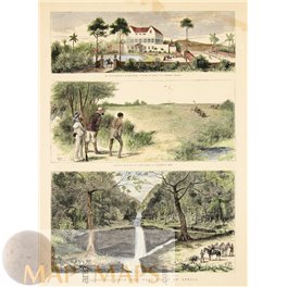 St. Thomas Islands Africa hunting antique print 1878
