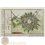 1712 antique plan Tornay, Doornik, Belgium, Flancs map engraved by Harrewyn.