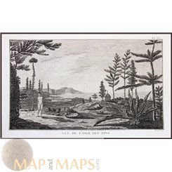 ISLE OF PINES-NEW CALEDONIA-VOYAGE JAMES COOK, OLD ENGRAVING, CAPTAIN COOK 1780