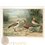 Kentish plover - Eurasian Dotterel Bird Print Naumann 1897