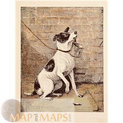 Jack Russel Terrier Antique Dog Print 1849
