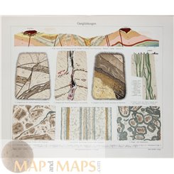 Geological corridors of the earth.Old Print Meyer