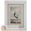 CALFSOWARY BIRD GOLDSMITH BUFFON ENGRAVING PRINT 1816