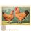 New Hampshire Old chicken print 1920