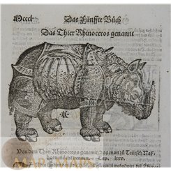 Das Nashorn, David Kandels Holzschnitt von Conrad Gessner 1551