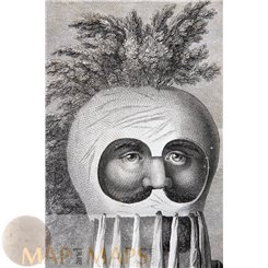 A Man of the Sandwich Islands in a mask, Captain Cook 1780.